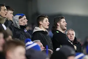 Intense Championship Showdown: Brighton and Hove Albion vs. Cardiff City (24Jan17)