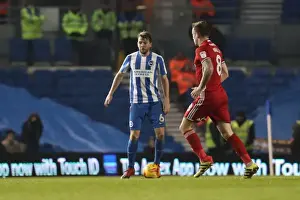 Intense Championship Showdown: Brighton and Hove Albion vs. Cardiff City (24Jan17)