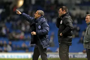 Intense Championship Showdown: Brighton and Hove Albion vs. Cardiff City (January 2017)
