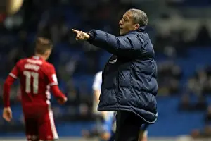 Intense Championship Showdown: Brighton and Hove Albion vs. Cardiff City (24Jan17)