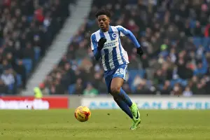 Intense Championship Showdown: Brighton and Hove Albion vs. Burton Albion (11FEB17)