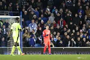 Intense Championship Showdown: Brighton and Hove Albion vs. Reading (25FEB17)