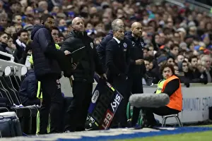 Intense Championship Showdown: Brighton and Hove Albion vs. Reading (25FEB17)