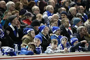 Intense Championship Showdown: Brighton and Hove Albion vs. Reading (25FEB17)