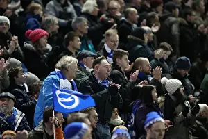 Intense Championship Showdown: Brighton and Hove Albion vs. Reading (25FEB17)