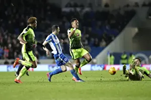Intense Championship Showdown: Brighton and Hove Albion vs. Reading (25FEB17)