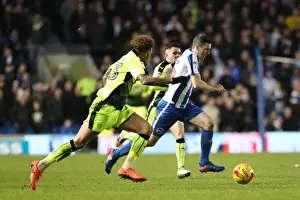 Intense Championship Showdown: Brighton and Hove Albion vs. Reading (25FEB17)