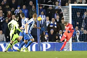 Intense Championship Showdown: Brighton and Hove Albion vs. Reading (25FEB17)