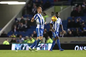 Intense Championship Showdown: Brighton and Hove Albion vs. Reading (25FEB17)