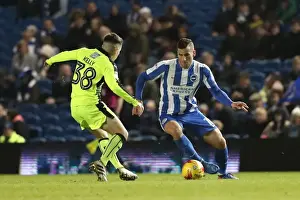 Intense Championship Showdown: Brighton and Hove Albion vs. Reading (25FEB17)