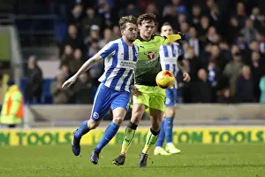 Intense Championship Showdown: Brighton & Hove Albion vs. Reading (25FEB17)