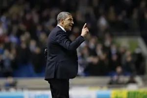 Intense Championship Showdown: Brighton and Hove Albion vs. Reading (25FEB17)