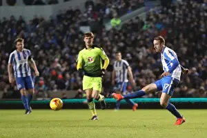 Intense Championship Showdown: Brighton and Hove Albion vs. Reading (25FEB17)