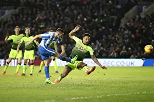 Intense Championship Showdown: Brighton and Hove Albion vs. Reading (25FEB17)