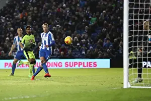 Intense Championship Showdown: Brighton and Hove Albion vs. Reading (25FEB17)