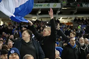 Intense Championship Showdown: Brighton and Hove Albion vs. Reading - 25th February 2017