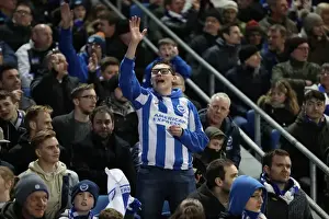 Intense Championship Showdown: Brighton and Hove Albion vs. Reading (25FEB17)