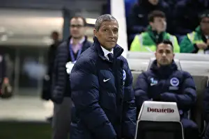 Brighton Manager Prints: Intense Championship Showdown: Brighton & Hove Albion vs. Newcastle United (28FEB17)