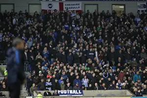 Intense Championship Showdown: Brighton and Hove Albion vs. Derby County (10th March 2017)