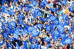 Intense Championship Showdown: Brighton and Hove Albion vs. Bristol City (29APR17)