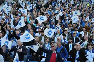 Intense Championship Showdown: Brighton & Hove Albion vs. Bristol City (29APR17)