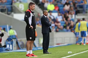 Intense Championship Showdown: Brighton and Hove Albion vs Barnsley (24SEP16)