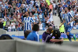 Intense Championship Showdown: Brighton and Hove Albion vs Barnsley (24SEP16)