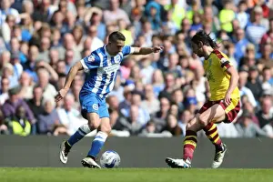 Intense Championship Showdown: Brighton and Hove Albion vs Burnley (April 2016)