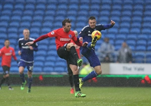 Intense Championship Showdown: Cardiff City vs. Brighton and Hove Albion (20FEB16)