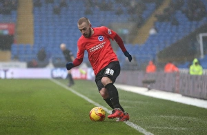 Intense Championship Showdown: Cardiff City vs. Brighton and Hove Albion (20FEB16)