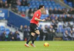 Intense Championship Showdown: Cardiff vs. Brighton (20FEB16)