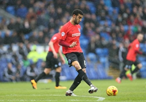 Intense Championship Showdown: Cardiff vs. Brighton (20FEB16)