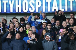 Intense Championship Showdown: Cardiff vs. Brighton (20FEB16)