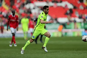 Intense Championship Showdown: Charlton Athletic vs. Brighton and Hove Albion (23APR16)