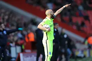 Intense Championship Showdown: Charlton Athletic vs. Brighton and Hove Albion (23APR16)
