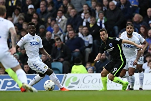 Intense Championship Showdown: Leeds United vs. Brighton and Hove Albion at Elland Road (18MAR17)
