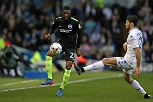 Intense Championship Showdown: Leeds United vs. Brighton & Hove Albion at Elland Road (18MAR17)