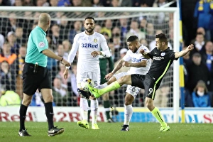 Intense Championship Showdown: Leeds United vs. Brighton & Hove Albion at Elland Road (18MAR17)