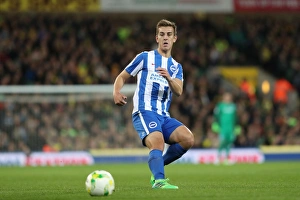 Intense Championship Showdown: Norwich City vs. Brighton and Hove Albion at Carrow Road (21APR17)