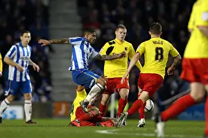 Watford - 29-12-2012 Prints: Intense Liam Bridcutt Fueling Brighton & Hove Albion's Championship Battle Against Watford (December 2012)
