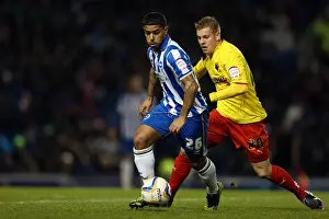 Watford - 29-12-2012 Prints: Intense Liam Bridcutt Leads Brighton & Hove Albion against Watford in Npower Championship at Amex Stadium (December 29)