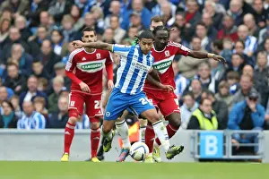 Middlesbrough - 20-10-2012 Prints: Intense Moment: Liam Bridcutt in Action for Brighton & Hove Albion vs Middlesbrough
