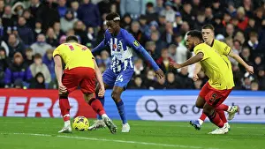 Sheffield United 12NOV23 Prints: Intense Premier League Battle: Brighton & Hove Albion vs. Sheffield United (12NOV23)