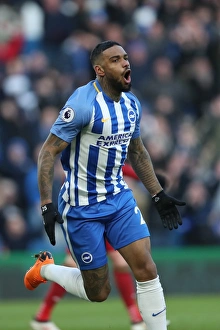 Swansea City 24FEB18 Prints: Intense Premier League Clash: Brighton & Hove Albion vs Swansea City (24FEB18) - American Express Community Stadium