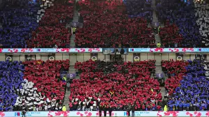 Intense Premier League Clash: Brighton & Hove Albion vs. Newcastle United (November 6, 2021)