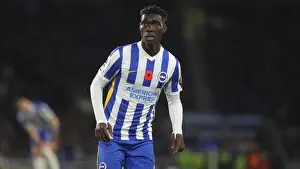 Intense Premier League Clash: Brighton & Hove Albion vs. Newcastle United (6th November 2021)