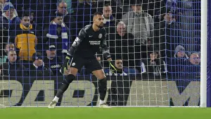 Intense Premier League Rivalry: Brighton vs. Crystal Palace (14JAN22) - A High-Stakes Showdown