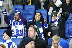 Images Dated 28th November 2017: Intense Premier League Showdown: Brighton & Hove Albion vs. Crystal Palace (November 2017)