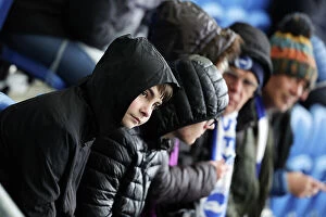 Images Dated 29th October 2023: Intense Premier League Showdown: Brighton & Hove Albion vs. Fulham (29OCT23)