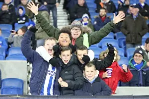 Intense Premier League Showdown: Brighton & Hove Albion vs. Crystal Palace (November 2017)